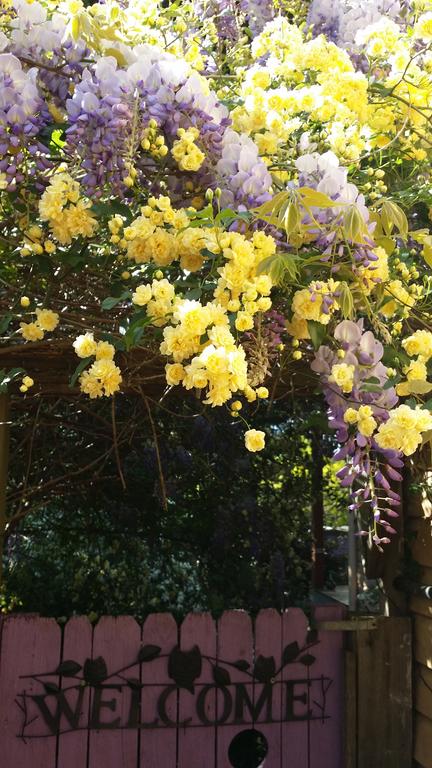 Bowral Road Bed And Breakfast - Lismore Accommodation 0