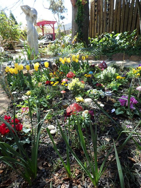 Bowral Road Bed And Breakfast - Lismore Accommodation 1