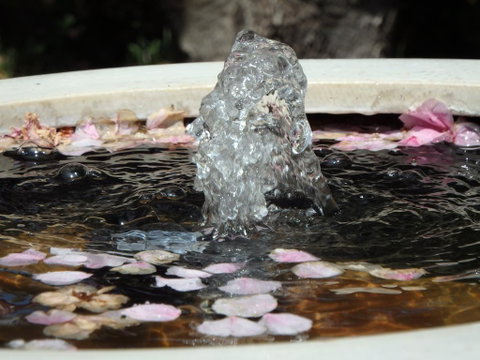 Bowral Road Bed And Breakfast - Lismore Accommodation 2