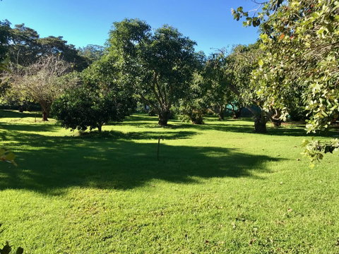 Camelot Cottages - Lismore Accommodation 2