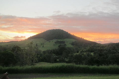 CBR Equine Cottage - Lismore Accommodation 1