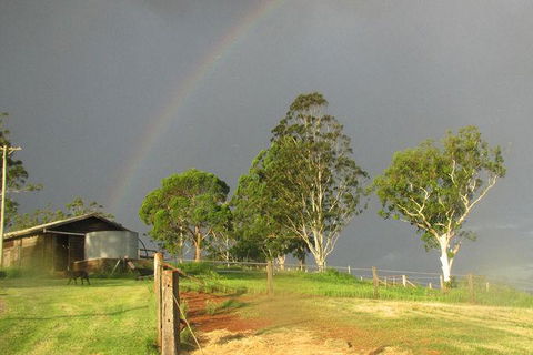 CBR Equine Cottage - Lismore Accommodation 0