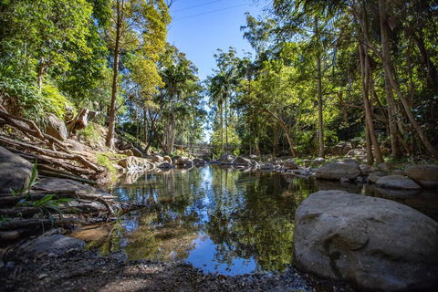 Cedar Creek Lodges - Lismore Accommodation 0