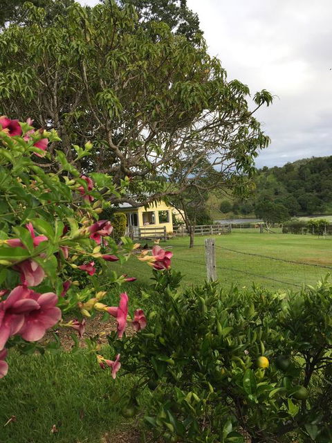 CedarBrae Country Stay - Lismore Accommodation 2