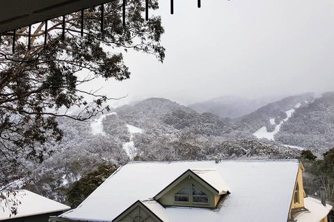 Celesia 2 - Lismore Accommodation 0