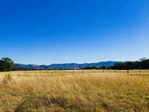 Charlotte Tiny House - Lismore Accommodation 2