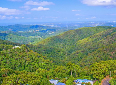CLOUD 9 - Cliff Top Eagle Heights - Lismore Accommodation 2