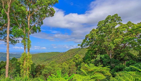 CLOUD 9 - Cliff Top Eagle Heights - Lismore Accommodation 3