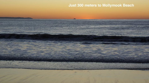Clyde Studio 53, Mollymook - Lismore Accommodation 3