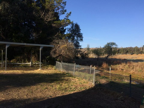 Cockatoo Corner - Armidale - Lismore Accommodation 1
