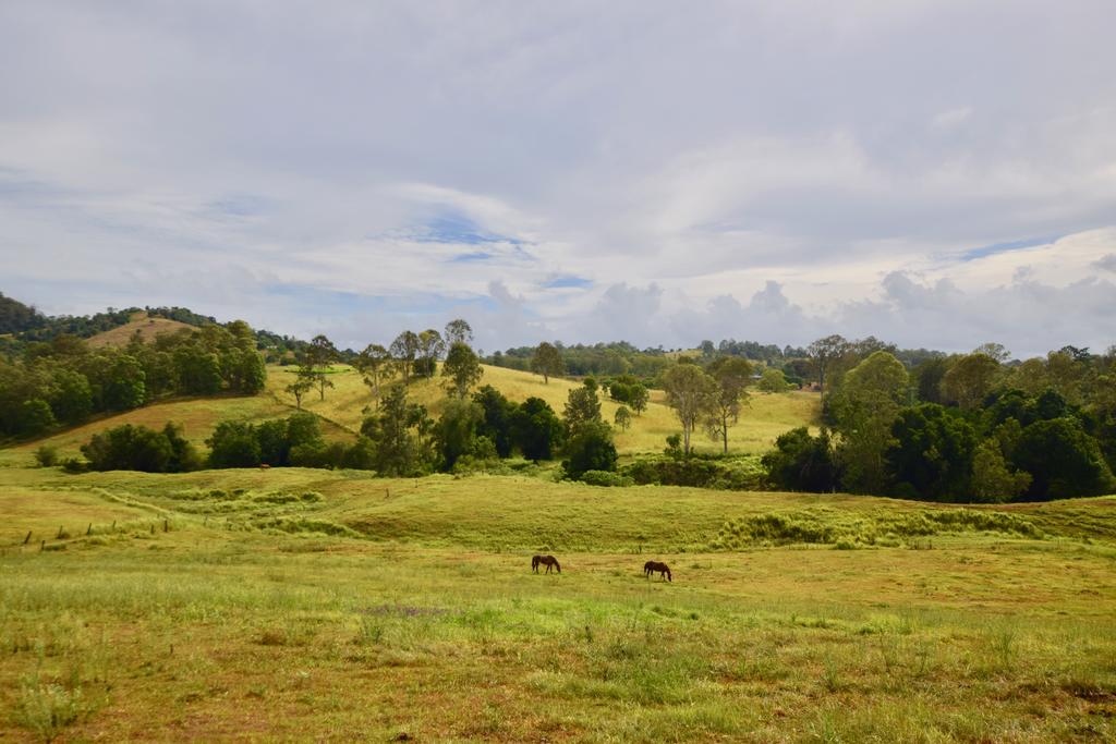 Kandanga QLD Lismore Accommodation