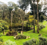 Countryside Retreat Intimate Studio Hepburn - Daylesford - Lismore Accommodation