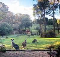 Countryside Retreat Spa Cottage Hepburn - Daylesford - Lismore Accommodation