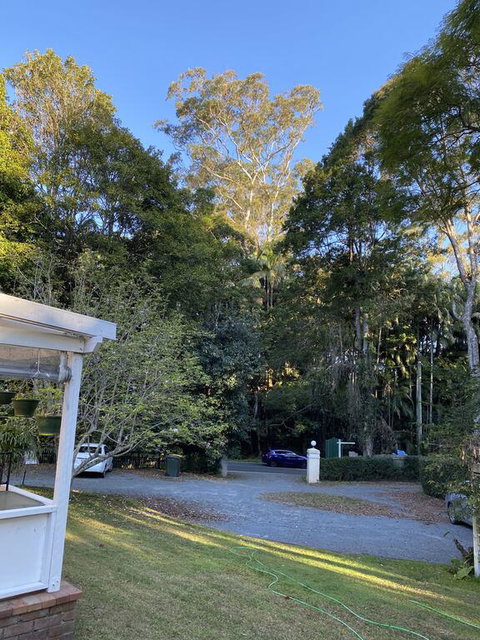Curtis Falls Studio-Apartment - Lismore Accommodation 3
