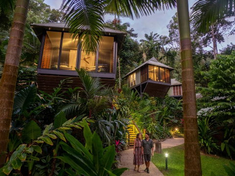 Daintree Ecolodge - Lismore Accommodation 0