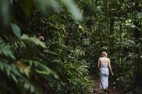 Daintree Ecolodge - Lismore Accommodation 2