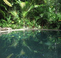 Daintree Rainforest Retreat Motel - Lismore Accommodation