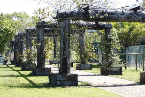 Daintree Wild Bed & Breakfast - Lismore Accommodation 2