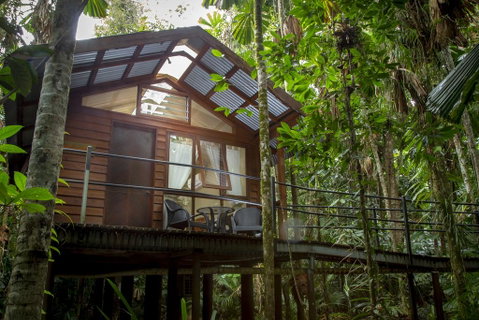 Daintree Wilderness Lodge - Lismore Accommodation 2