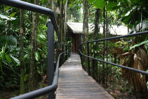 Daintree Wilderness Lodge - Lismore Accommodation 0