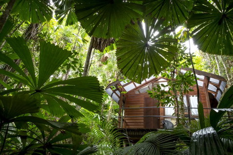 Daintree Wilderness Lodge - Lismore Accommodation 1