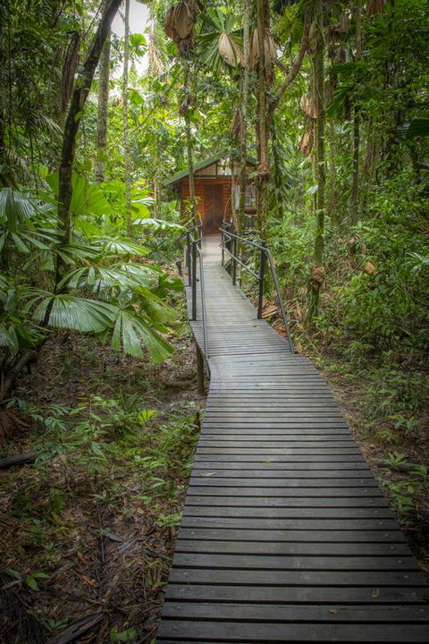 Daintree Wilderness Lodge - Lismore Accommodation 3