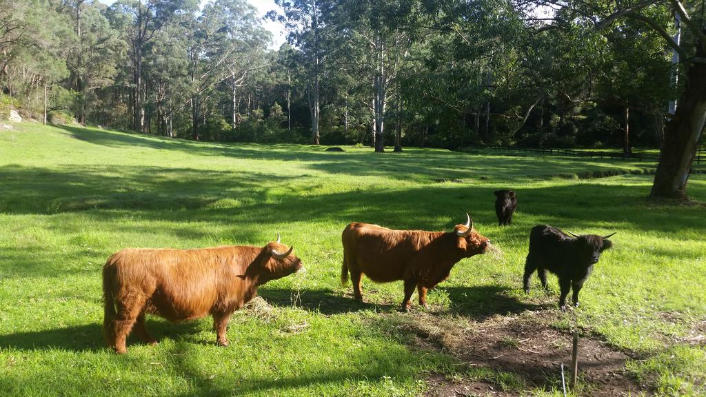 Annangrove NSW Lismore Accommodation