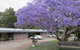 Ecotel Narooma - thumb 3
