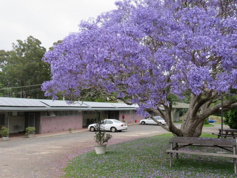 Ecotel Narooma - Lismore Accommodation 3