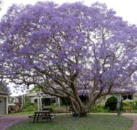 Ecotel Narooma - Lismore Accommodation