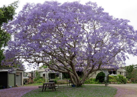 Ecotel Narooma - Lismore Accommodation 0