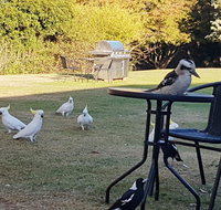 Eildon Parkview Motor Inn - Lismore Accommodation