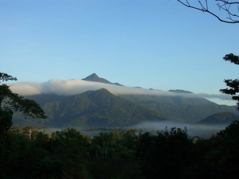 Epiphyte B & B - Lismore Accommodation 0