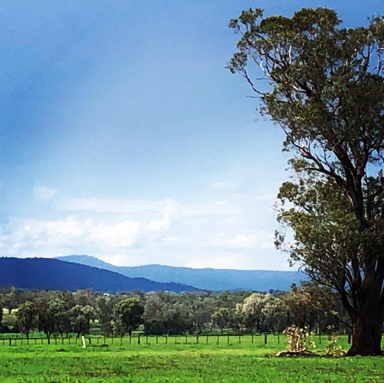 Timbumburi NSW Lismore Accommodation