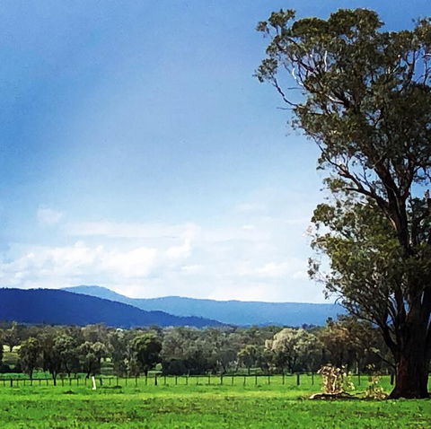 Fourjay Farmstay - Lismore Accommodation 0