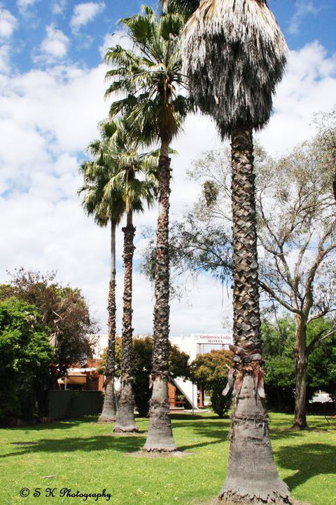 Gardenview - Lismore Accommodation 3