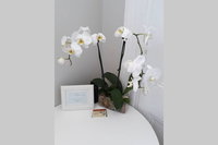 Gawler Heritage Accommodation