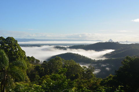 Gumnut Cottage - Lismore Accommodation 1
