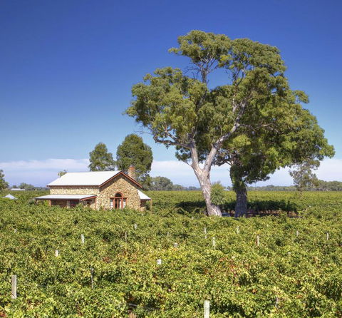 Highbank Country Accommodation - Lismore Accommodation 3