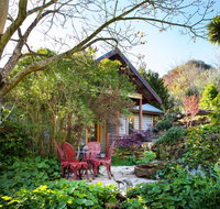 Hills End Camellia - Lismore Accommodation