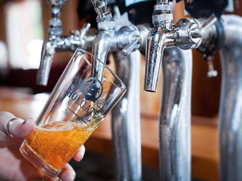 Holgate Brewhouse - Lismore Accommodation 0