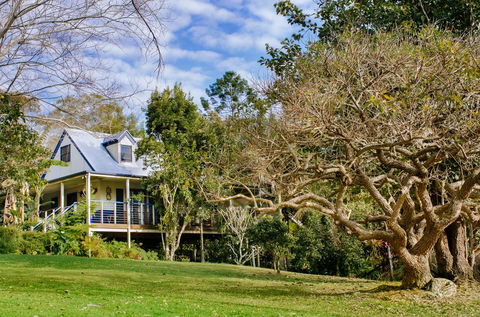 Jacaranda Cottages - Lismore Accommodation 0