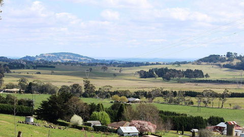 JAN'S ART STUDIO AT ASHBY RISE - Lismore Accommodation 2