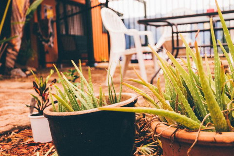 JJs Backpackers Hostel - Lismore Accommodation 2