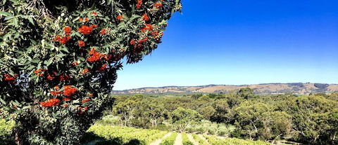 Karawatha Cottages B&B - Lismore Accommodation 2