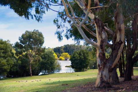 Lake Daylesford Lodge 4 - Lismore Accommodation 1