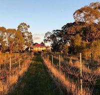 Lillicur Vineyard BB - Lismore Accommodation