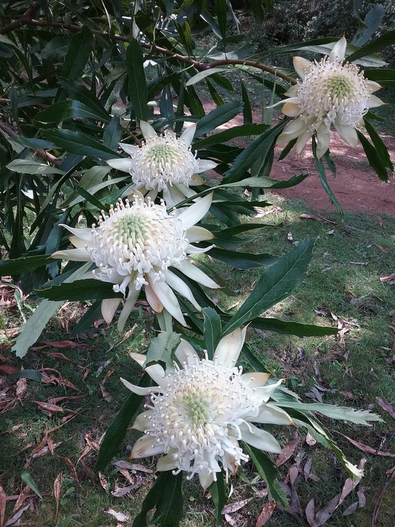 Hallston VIC Lismore Accommodation