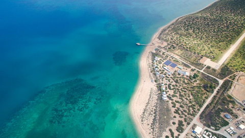 Mackerel Islands - Lismore Accommodation 1