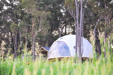 Mile End Glamping Pty Ltd - Lismore Accommodation 2